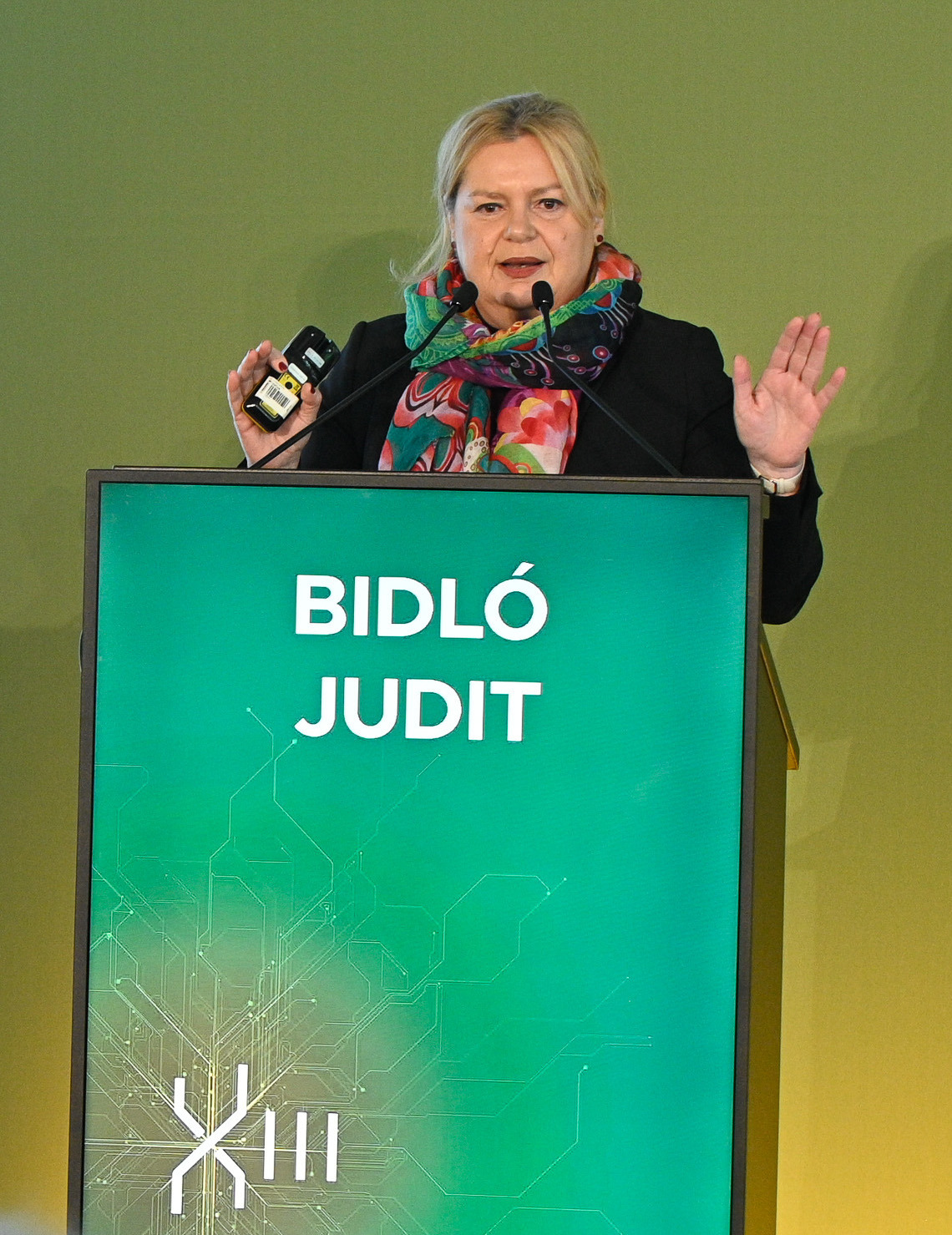 Bidló Judit